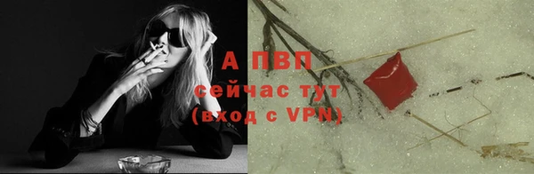 apvp Иннополис