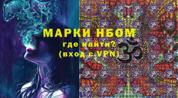 apvp Иннополис