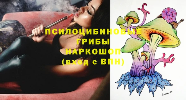 apvp Иннополис