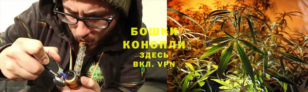 apvp Иннополис