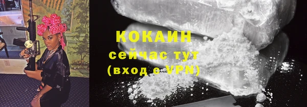 apvp Иннополис