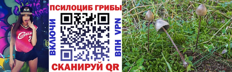 Купить закладки  Холм  Галлюциногенные грибы прущие грибы 